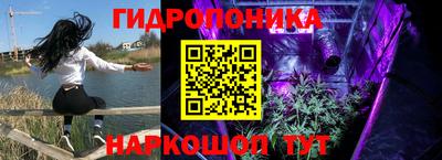 jwh Пенза