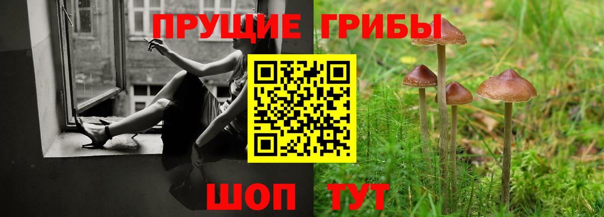 Галлюциногенные грибы Cubensis  купить  цена  Сургут  Вход с VPN 